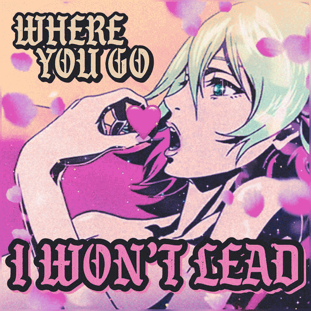 where you go, i won't lead