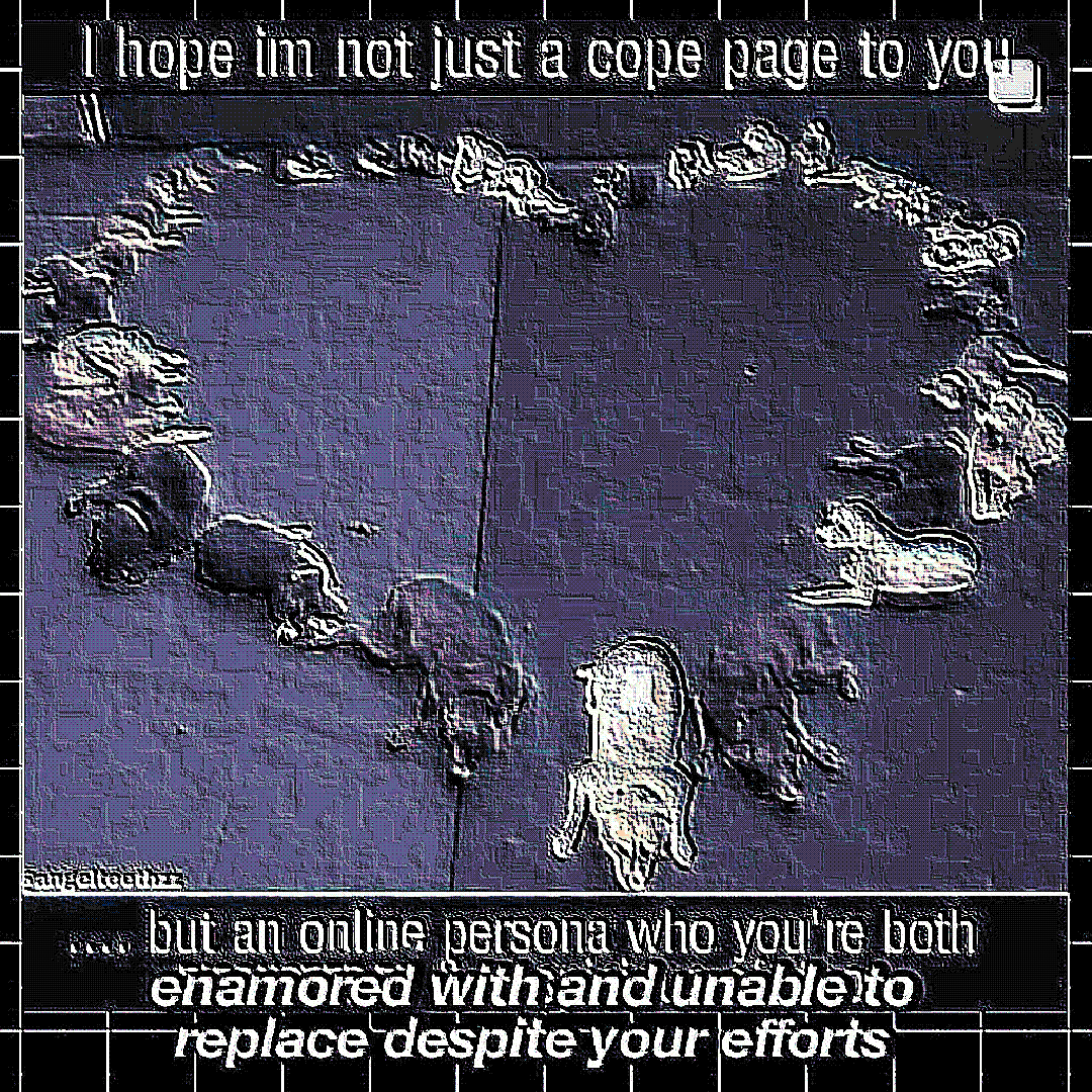 i hope im not just a cope page to you … but an online persona who you’re both enamored with and unable to replace despite your efforts