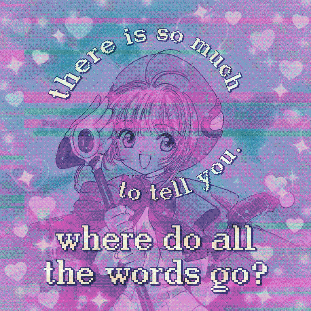 there is so much to tell you. where do all the words go?