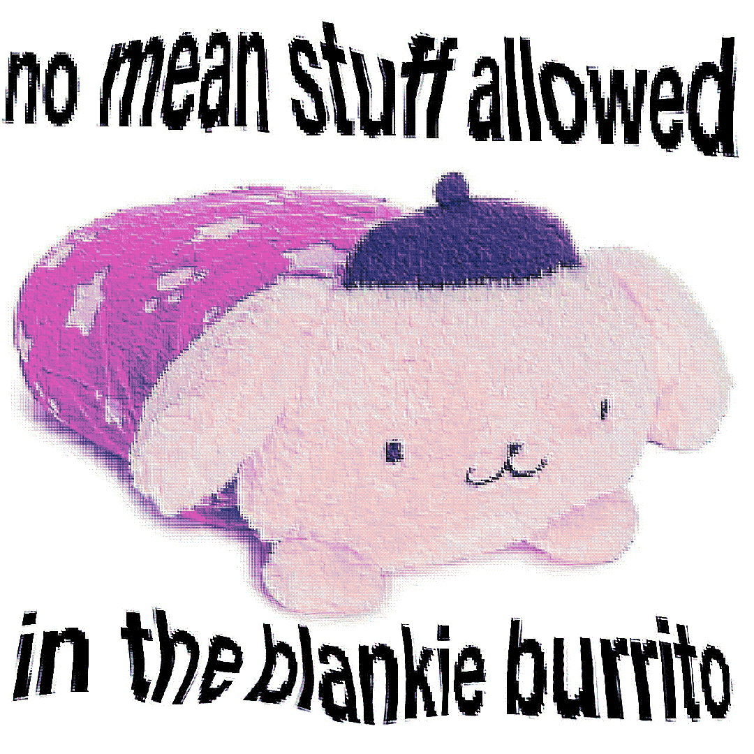 no mean stuff allowed in the blankie burrito
