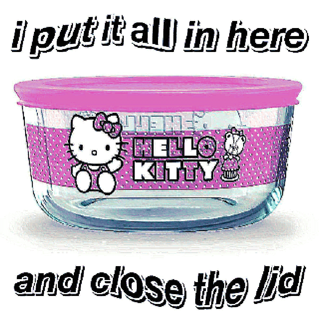 i put it all in here / and close the lid