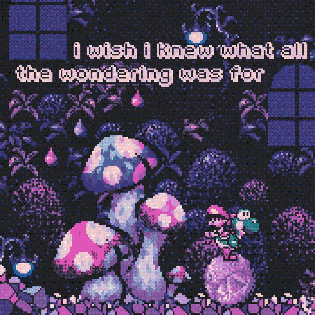 i wish i knew what all the wondering was for